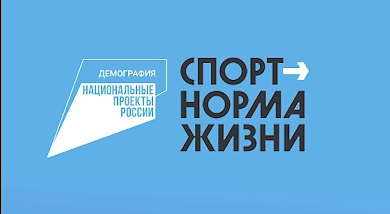 Школьная площадка – это территория школы, которая одновременно выполняет роль спортивного  объекта и является местом активного отдыха во внеурочное время. Главным требованием к школьной площадке является – сохранение здоровья детворы и возможность реализо.